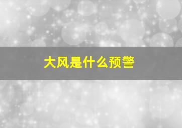 大风是什么预警