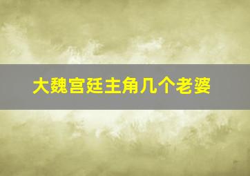 大魏宫廷主角几个老婆