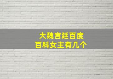 大魏宫廷百度百科女主有几个