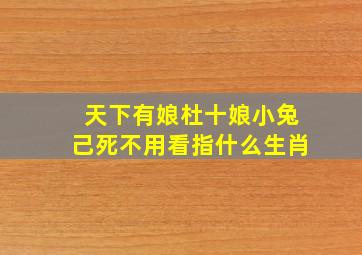 天下有娘杜十娘小兔己死不用看指什么生肖