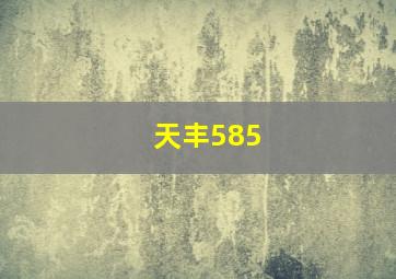 天丰585