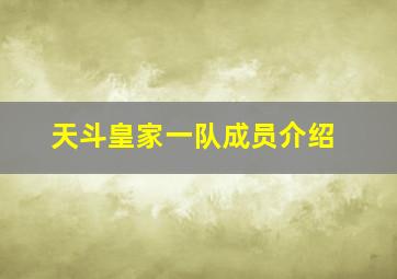 天斗皇家一队成员介绍