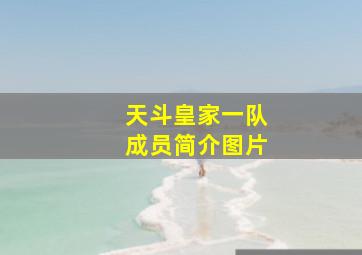 天斗皇家一队成员简介图片