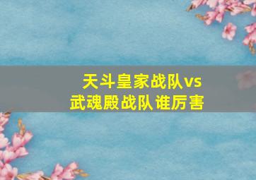 天斗皇家战队vs武魂殿战队谁厉害