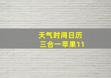 天气时间日历三合一苹果11