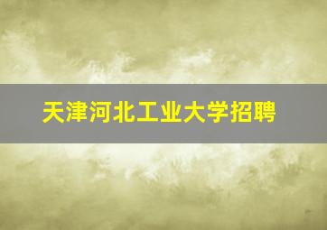 天津河北工业大学招聘