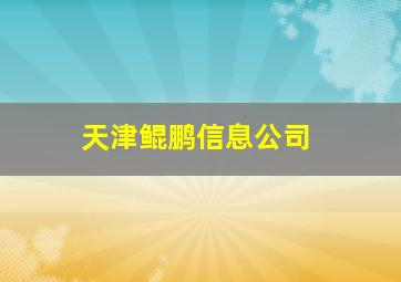 天津鲲鹏信息公司