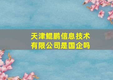 天津鲲鹏信息技术有限公司是国企吗