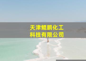 天津鲲鹏化工科技有限公司