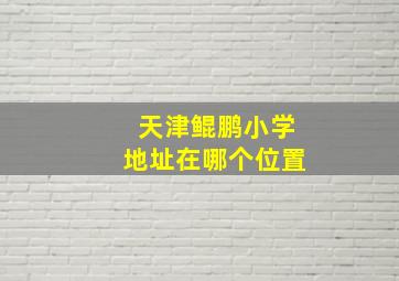 天津鲲鹏小学地址在哪个位置