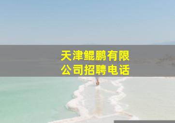 天津鲲鹏有限公司招聘电话