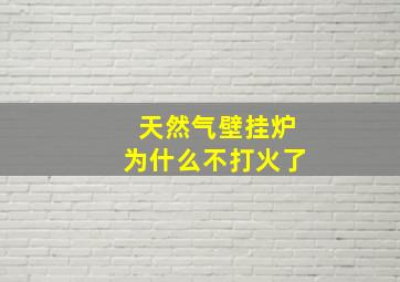 天然气壁挂炉为什么不打火了