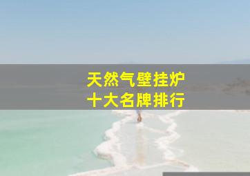 天然气壁挂炉十大名牌排行