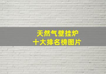 天然气壁挂炉十大排名榜图片