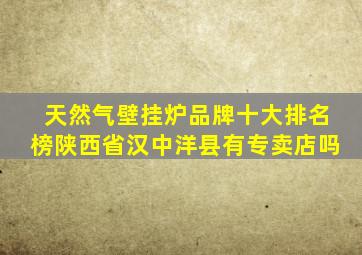 天然气壁挂炉品牌十大排名榜陕西省汉中洋县有专卖店吗