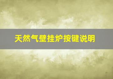 天然气壁挂炉按键说明