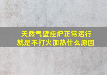 天然气壁挂炉正常运行就是不打火加热什么原因