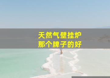 天然气壁挂炉那个牌子的好