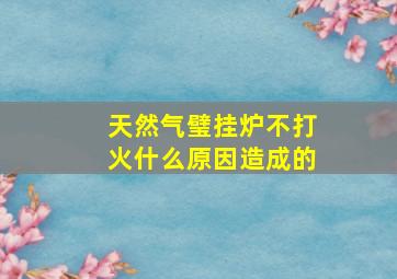 天然气璧挂炉不打火什么原因造成的