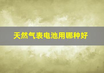 天然气表电池用哪种好