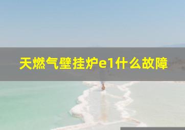 天燃气壁挂炉e1什么故障