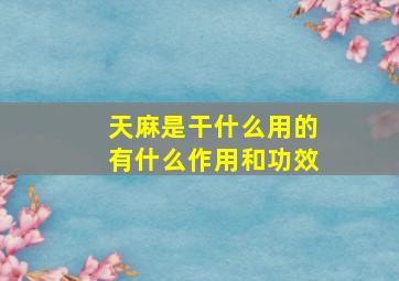 天麻是干什么用的有什么作用和功效