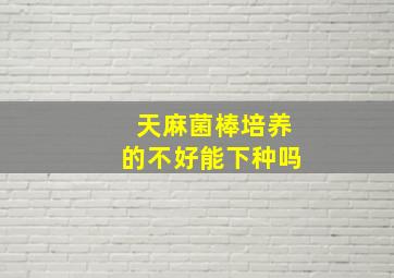 天麻菌棒培养的不好能下种吗