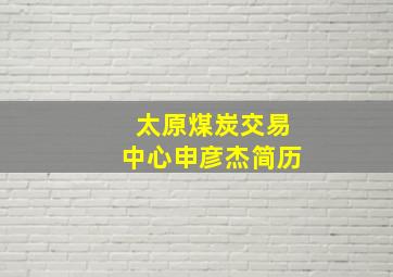 太原煤炭交易中心申彦杰简历