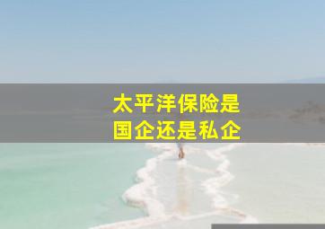 太平洋保险是国企还是私企