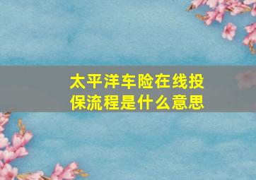 太平洋车险在线投保流程是什么意思