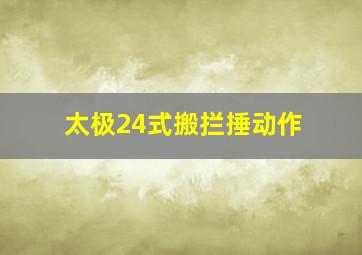 太极24式搬拦捶动作