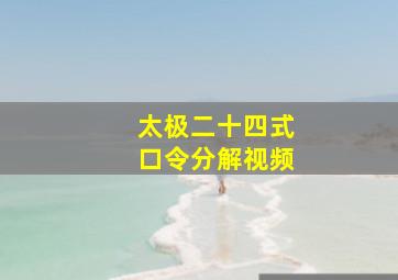 太极二十四式口令分解视频