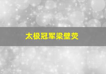 太极冠军梁壁荧