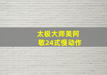 太极大师吴阿敏24式慢动作