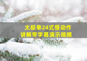 太极拳24式慢动作讲解带字幕演示视频