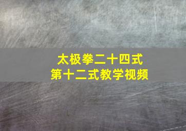 太极拳二十四式第十二式教学视频