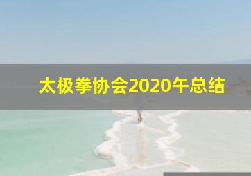 太极拳协会2020午总结