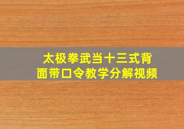 太极拳武当十三式背面带口令教学分解视频