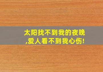 太阳找不到我的夜晚,爱人看不到我心伤!