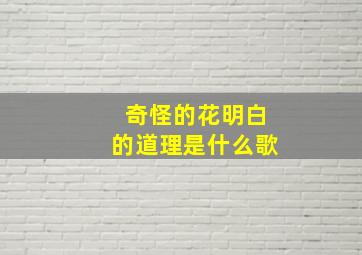 奇怪的花明白的道理是什么歌