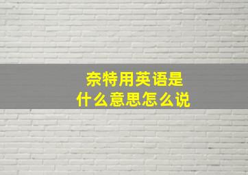 奈特用英语是什么意思怎么说