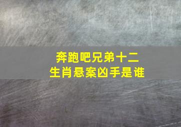 奔跑吧兄弟十二生肖悬案凶手是谁