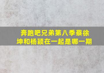 奔跑吧兄弟第八季蔡徐坤和杨颖在一起是哪一期