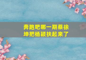 奔跑吧哪一期蔡徐坤把杨颖扶起来了