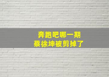 奔跑吧哪一期蔡徐坤被剪掉了