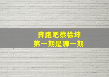 奔跑吧蔡徐坤第一期是哪一期