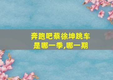 奔跑吧蔡徐坤跳车是哪一季,哪一期