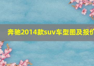 奔驰2014款suv车型图及报价