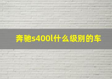 奔驰s400l什么级别的车