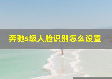 奔驰s级人脸识别怎么设置